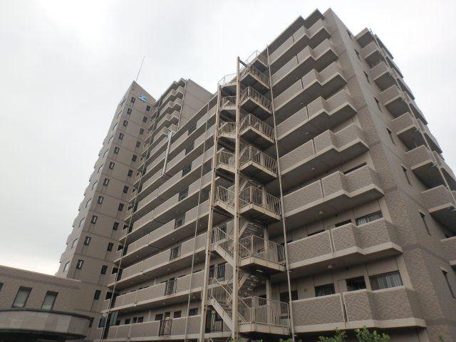 ベルドゥムール川口東
