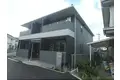 リアシード