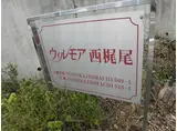 ウィルモア西梶尾C