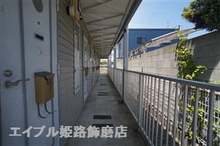 ステラ白浜