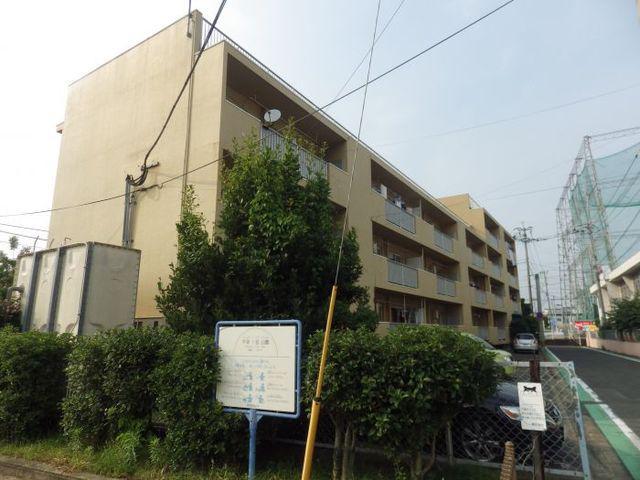 エリーナ千早