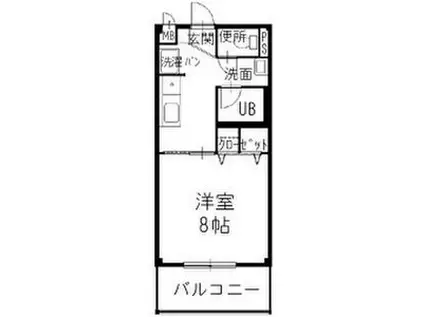 RUBRA(1K/1階)の間取り写真