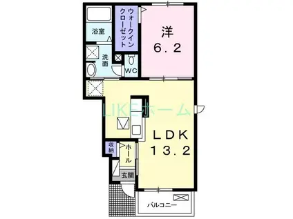 プリムラII(1LDK/1階)の間取り写真