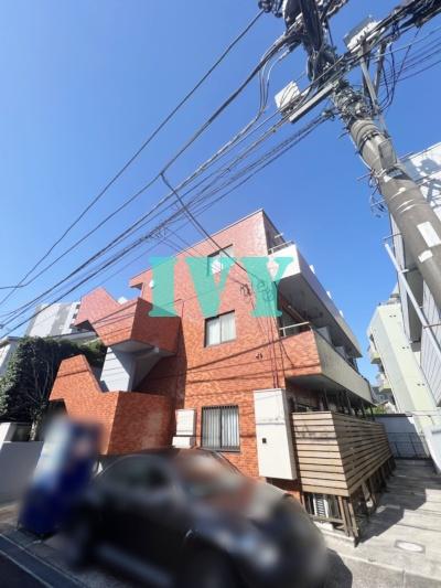モンステラ登戸