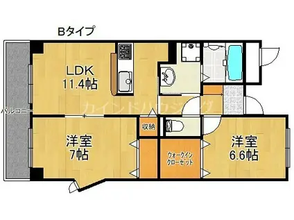 ベルアビタシオン(2LDK/1階)の間取り写真