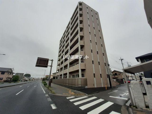 アマルフィーノ