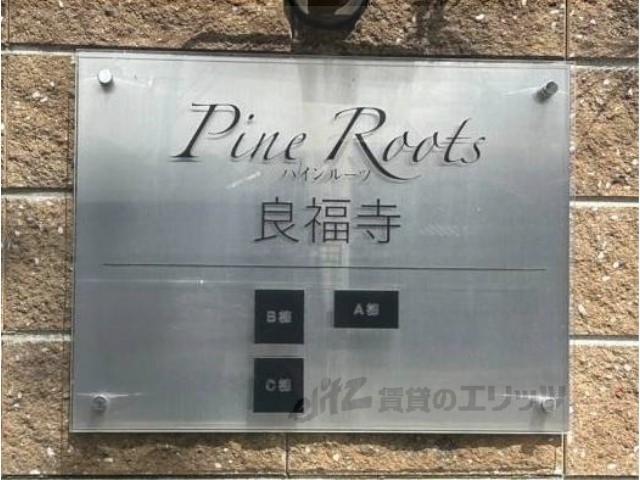 PINEROOTS良福寺