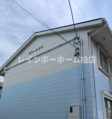 ラフィーネ 木下
