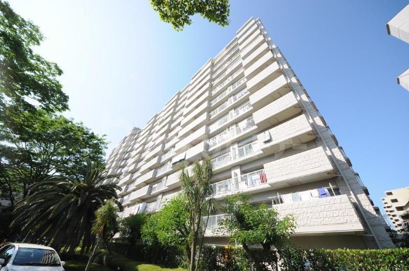 サンパセオ新柏D号館