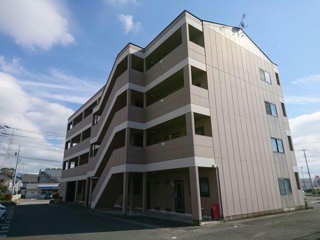 ロイヤル花水木