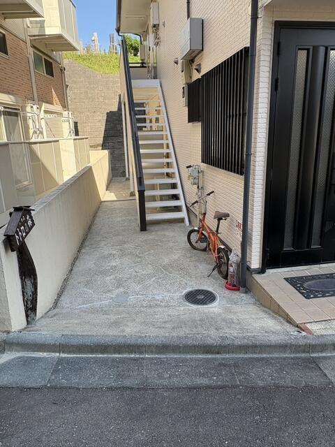 トトロの森