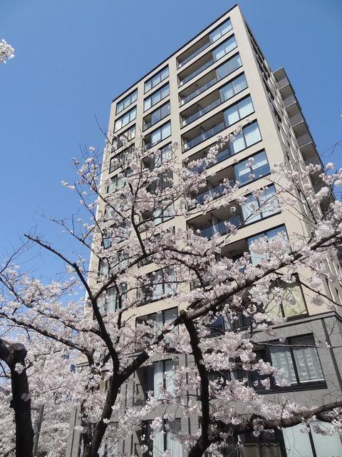 パークコート赤坂桜坂(2LDK/4階)