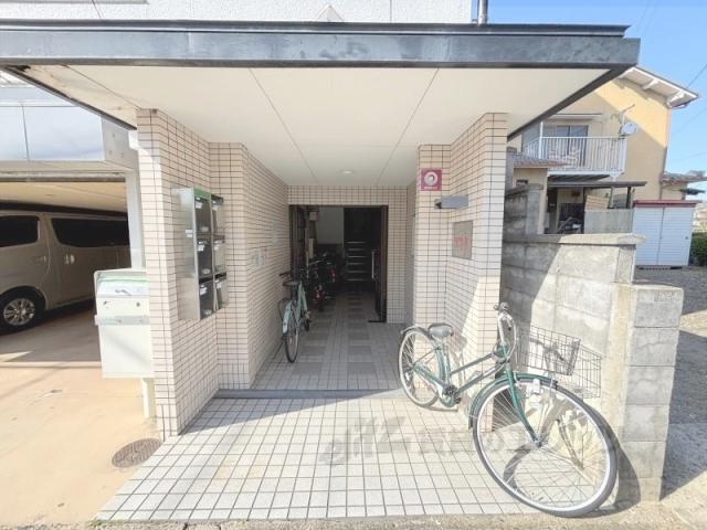 ネルズ21