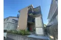 レオネクストアルストロメリア