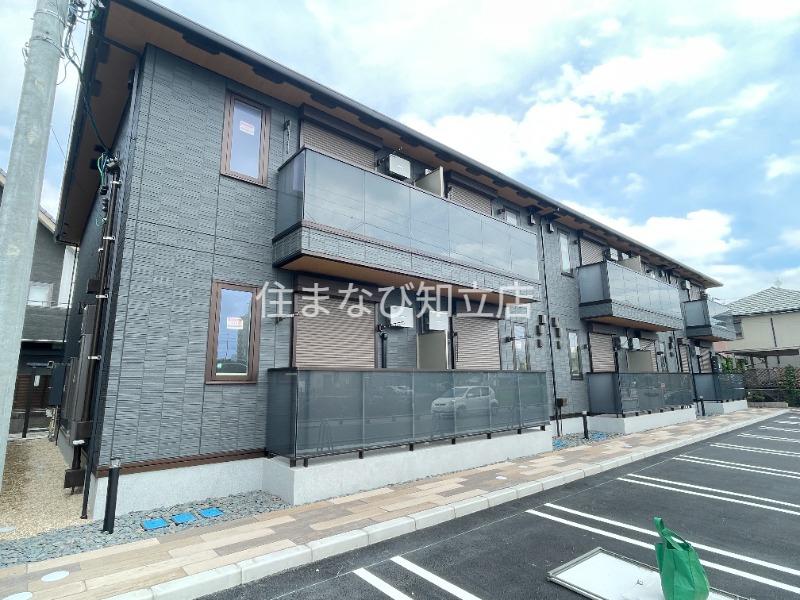 オリーブ