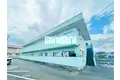 パルミラ C