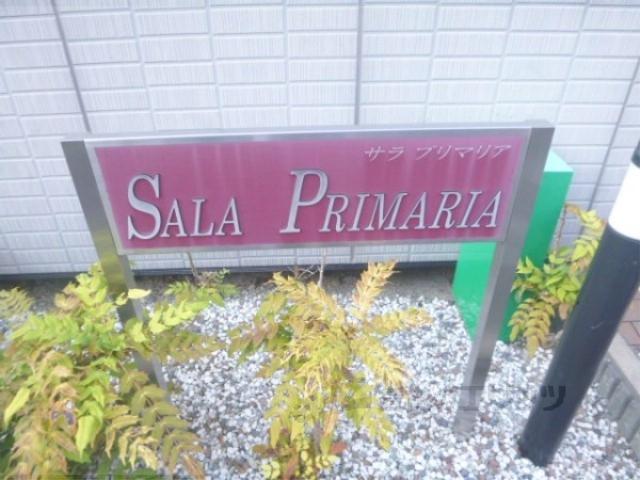サラプリマリア