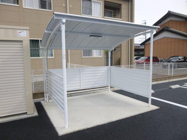 スターテラスマツ