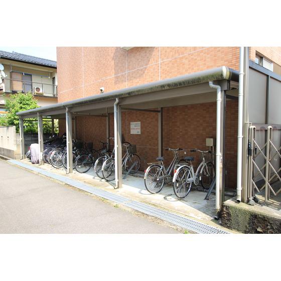 アイビーシーズン