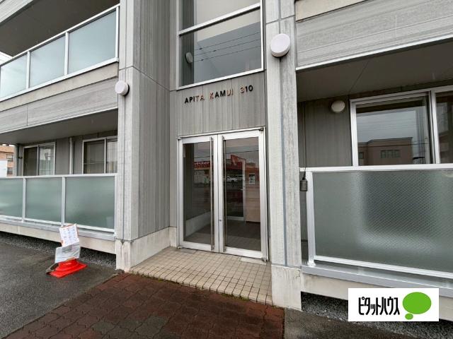 APITAKAMUI310