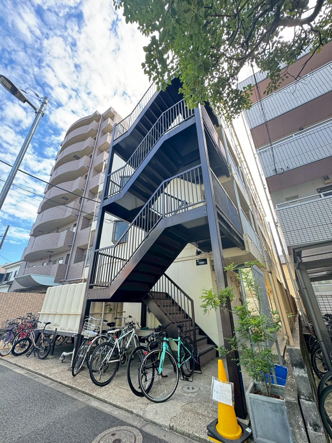 フローラ5