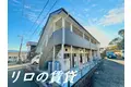 サクセスホワイト