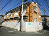 パームツリー