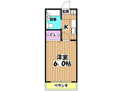 グリーンハイム志村(1K/2階)の間取り写真