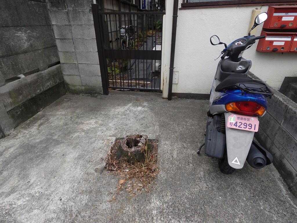 桜荘