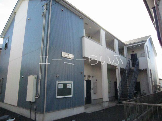 ACCESS真土