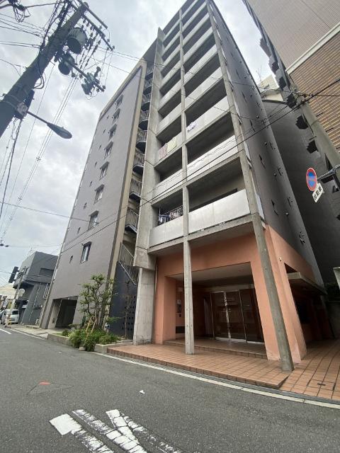 エレガンス川上