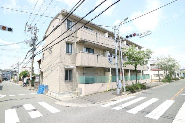 はなみずき