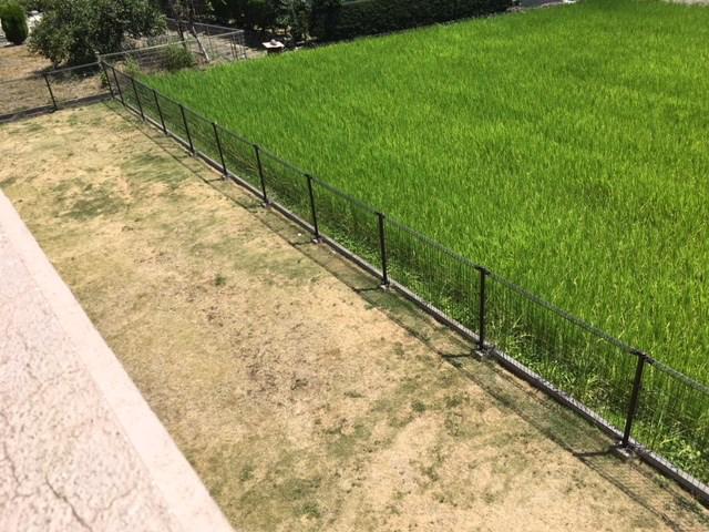 ブレインマンションΑ