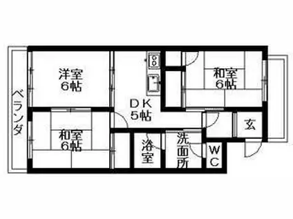 サンハイツ木の浦(3DK/4階)の間取り写真
