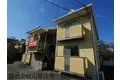 サンホワイト桜