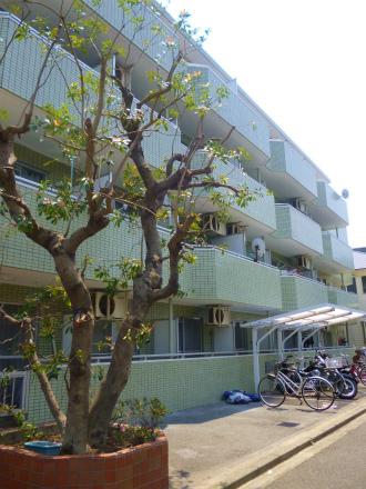 パラディス横浜