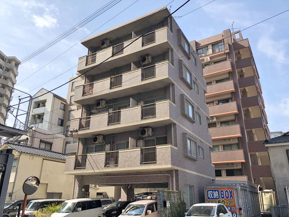 コニファー堀江