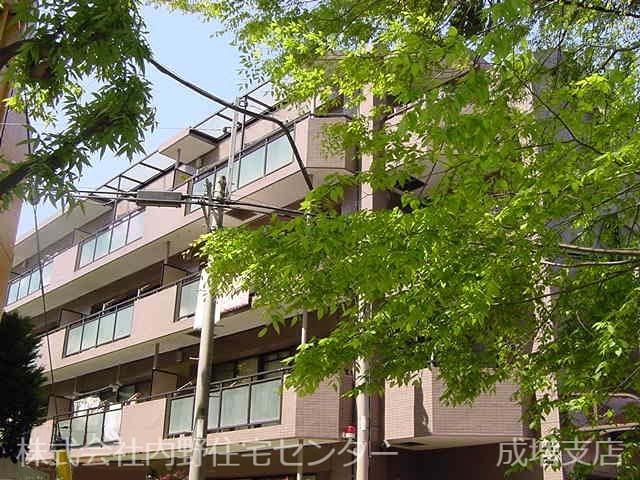 エディフィシオ成増