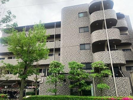 ピノカーサ塚口
