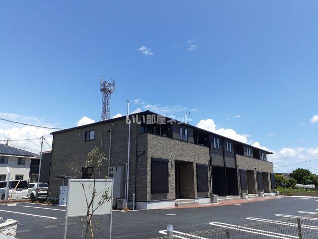 田彦はまぎく