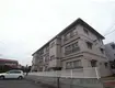 森マンション(2DK/1階)