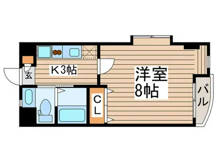 グランシャト-石神井(1K/5階)の間取り写真