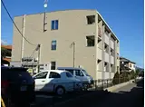 スペランツァ