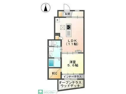 LIBRE聖蹟(1LDK/1階)の間取り写真