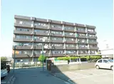 スカイコート大石町 1