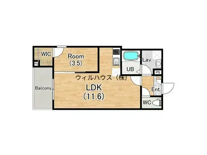 ジーメゾン鳳南ルシア(1LDK/2階)の間取り写真