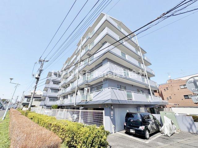 セザール八坂