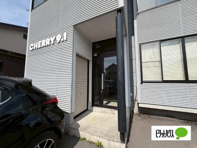 CHERRY9.1