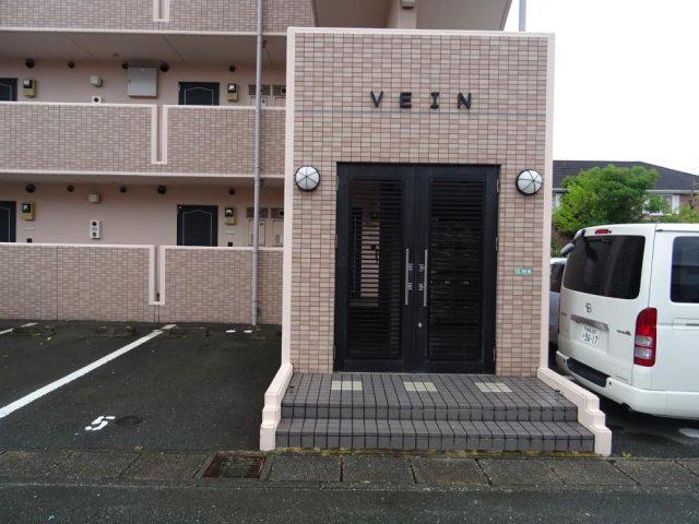 VEIN