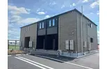 アジュガ・II